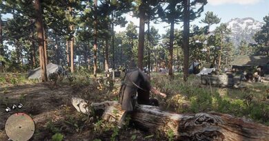 Red Dead Redemption 2: советы по запуску