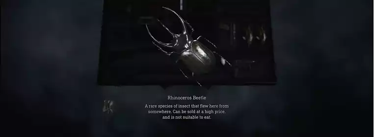 Где найти жуков-носорогов в Resident Evil 4 Remake