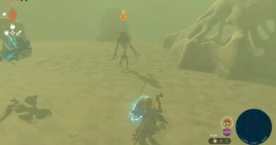 Как победить зомби пустыни в Zelda Tears of the Kingdom