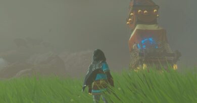 Где найти грибы Биллсона в Zelda: Tears of the Kingdom