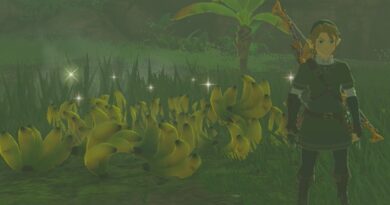 Где получить и обработать Mighty Bananas в Zelda: Tears of the Kingdom (TotK)