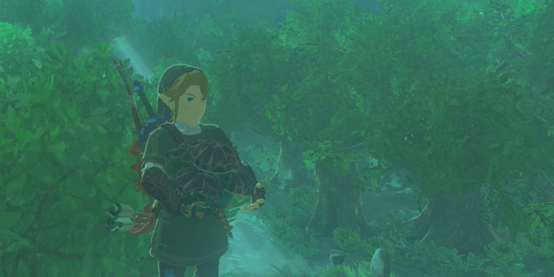 Где найти Razorshrooms в Zelda: Tears of the Kingdom (TotK)