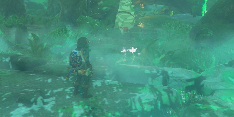 Где взять Silent Princess в Zelda: Tears of the Kingdom