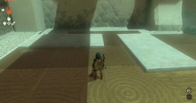 Игроки Tears of the Kingdom решают каждую головоломку с помощью этой техники Recall и Ultrahand