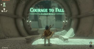 Tears of the Kingdom: Как бороться с лазерами в Courage to Fall Shrine