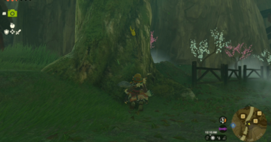 Где найти и нафармить Энергетического жука-носорога в Zelda: Tears of the Kingdom (TotK)