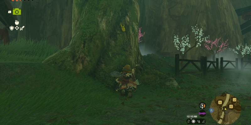 Где найти и нафармить Энергетического жука-носорога в Zelda: Tears of the Kingdom (TotK)