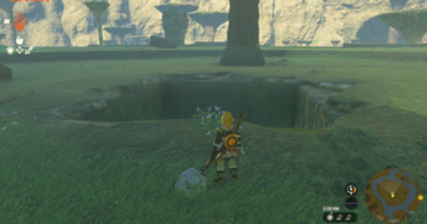 Где найти пещеру плато Тундра в Zelda: Tears of the Kingdom (TotK)