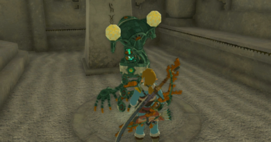 Где найти и нафармить Древние стрелы в Zelda: Tears of the Kingdom (TotK)