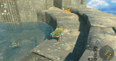 Где найти и нафармить Hearty Bass в Zelda: Tears of the Kingdom (TotK)