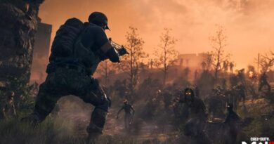 Есть ли в Modern Warfare Zombies (MWZ) кооперативная игра с разделенным экраном?