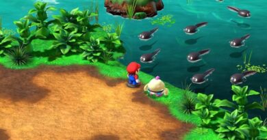 Все решения головоломок с песнями Tadpole Melody Bay в ролевой игре Super Mario