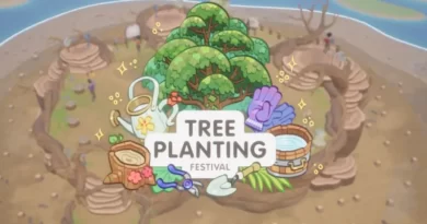 Коралловый остров: гид по фестивалю посадки деревьев