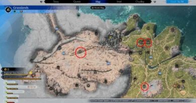Где найти все тайники в регионе Луг в Final Fantasy 7 (FF7) Rebirth