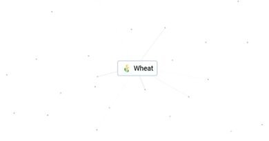 Как сделать пшеницу в Infinite Craft